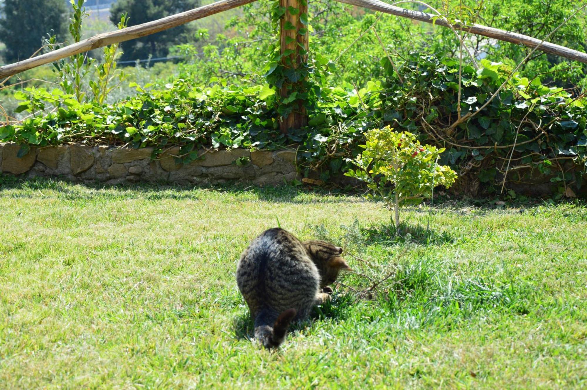 Antico Borgo Etneo Country Hotel Calatabiano Εξωτερικό φωτογραφία