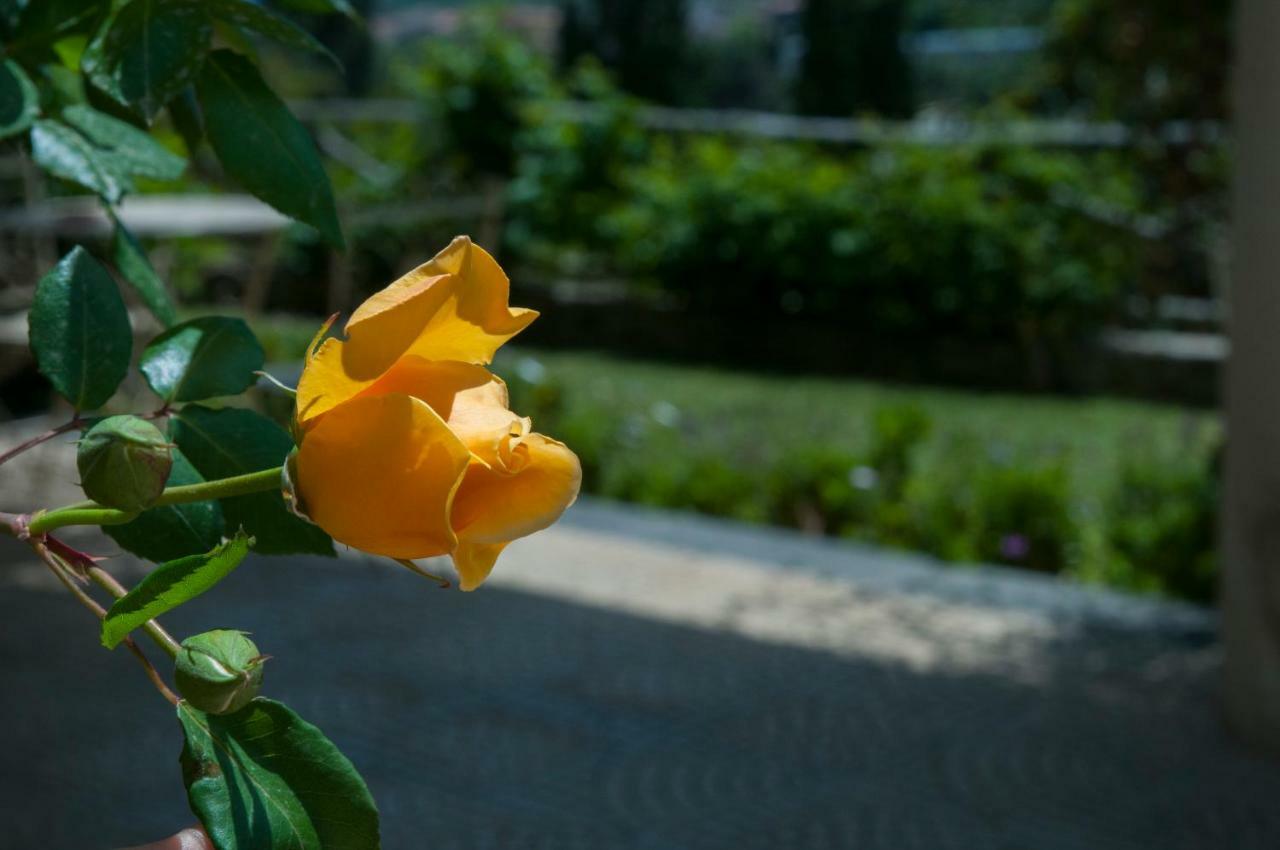 Antico Borgo Etneo Country Hotel Calatabiano Εξωτερικό φωτογραφία